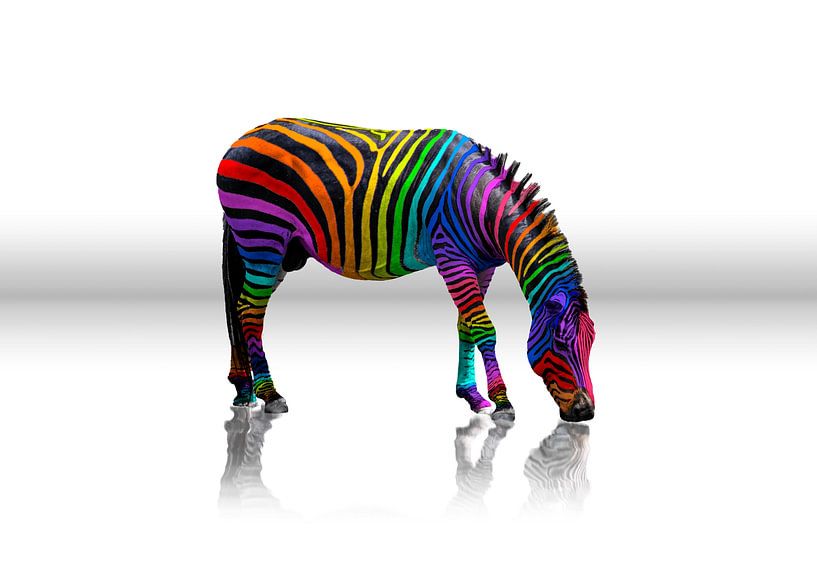 Regenboog Zebra van Christiane Calmbacher