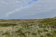 Foto van de duinen van Nederland te St Maartenszee van Peter Buijsman thumbnail