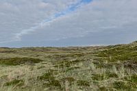 Foto van de duinen van Nederland te St Maartenszee