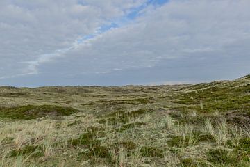 Foto van de duinen van Nederland te St Maartenszee van Peter Buijsman
