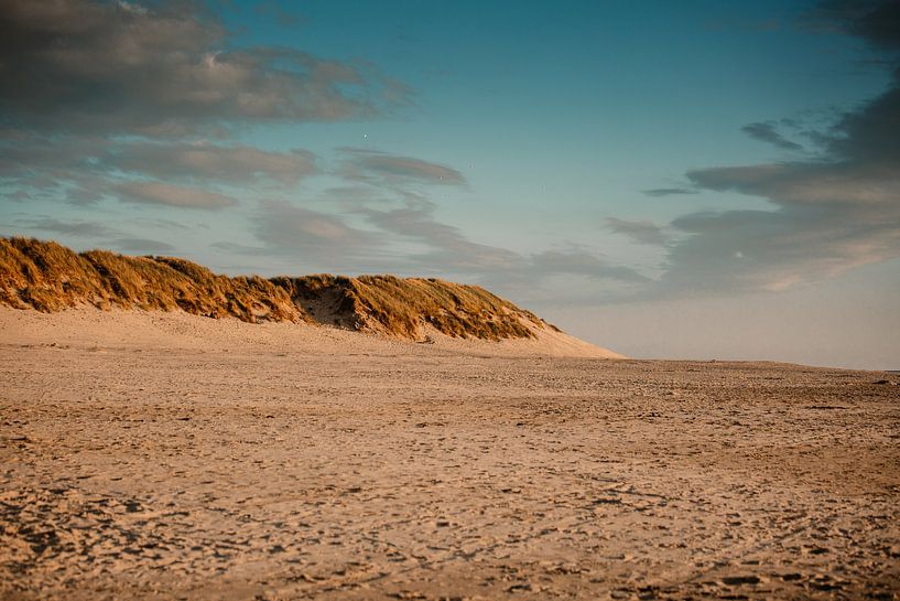 Duingebied van Ameland van Lindy Schenk-Smit