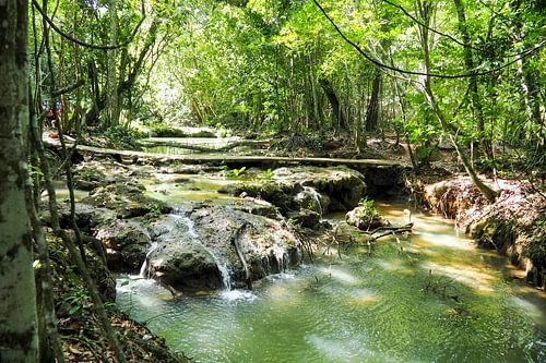 Caribische afbeeldingen behoren tot de populairste motieven voor muurschilderingen en fine art prints. De regio inspireert met zijn kristalheldere water, witte stranden, unieke kleuren en tropische natuur.