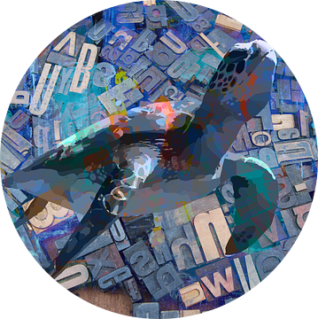 Mixed media style zeeschildpad met letters van The Art Kroep
