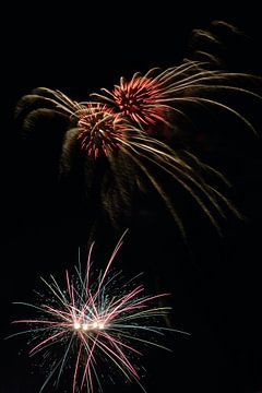 Feux d'artifice sur Alphapics