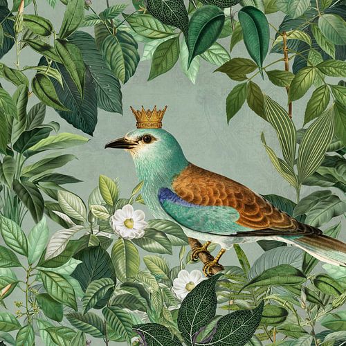 Dschungelkönig von Andrea Haase