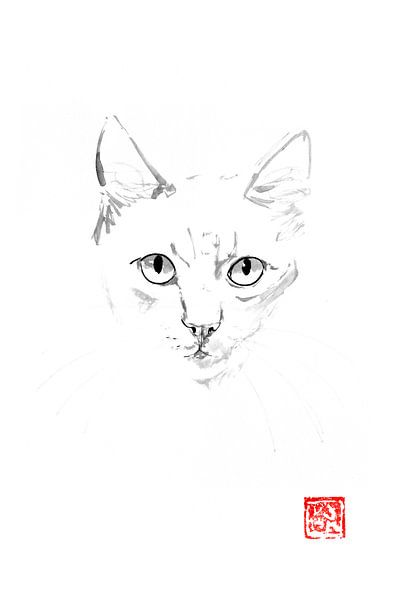 gemberkat van Péchane Sumie