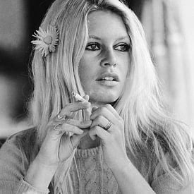 Brigitte Bardot at the aperitif by Tom Vandenhende