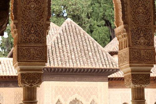 Alhambra Nasrid palaces 6