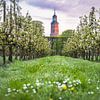 Blossom in Buren by Max ter Burg Fotografie