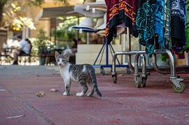 A piece of Greek serenity by Karsten Rahn