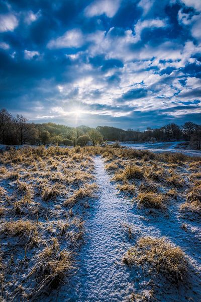 Winters Pays-Bas par Martijn Kort