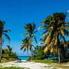 Beach entrance with palm trees, beach by Corrine Ponsen