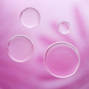 Bulles roses