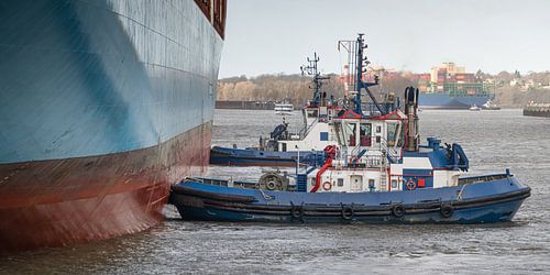 Sleepboot manoeuvreert een containerschip in de haven van Hamburg