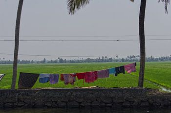 Varkala's lake district