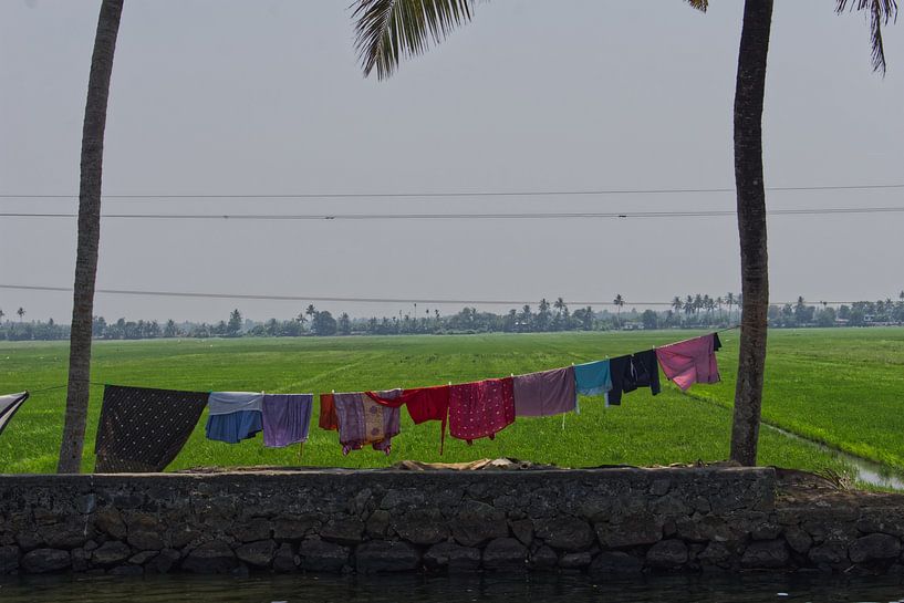 Varkala's lake district by Hans Lok
