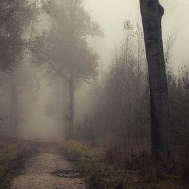 On a foggy morning by Jos Erkamp