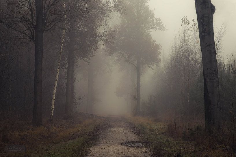 On a foggy morning by Jos Erkamp