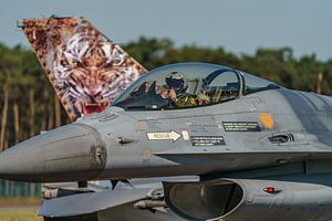 Gros plan du F-16A Fighting Falcon belge.