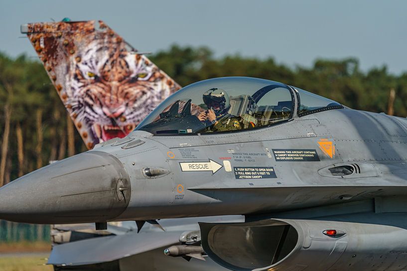 Nahaufnahme einer belgischen F-16A Fighting Falcon. von Jaap van den Berg