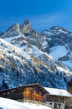 Ferme à Einödsbach, Stillachtal, derrière Trettachspitze et Mädelegabel sur Walter G. Allgöwer