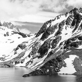 patagonia wild beauty #10 by Rafael Campezato