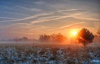 Foggy sunrise 2