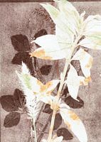 Botanical work on brown background