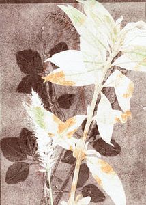 Botanisches Werk auf braunem Hintergrund von Lies Praet