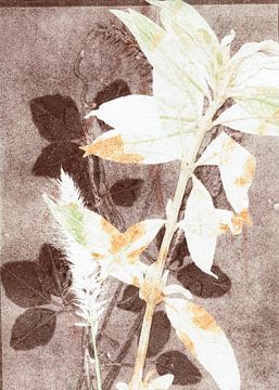 Botanisch werk op bruine achtergrond van Lies Praet