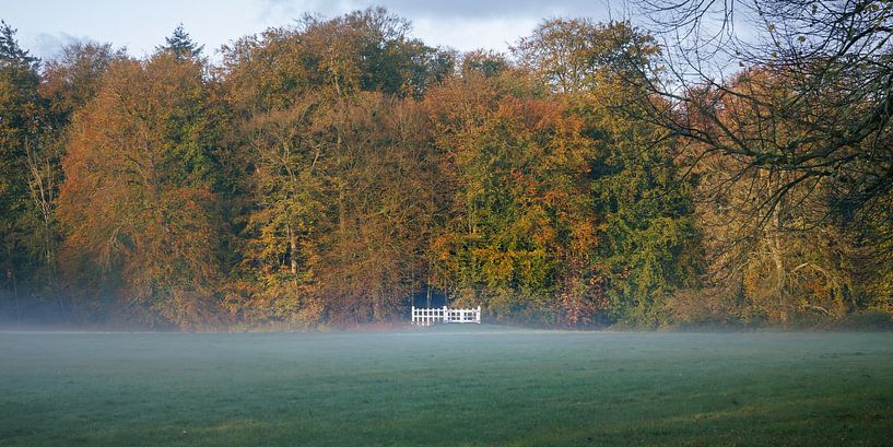 Paysage d'automne avec clôture blanche par Sjoerd Veltman