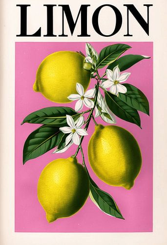 Levendige "Limon" Botanische kunstdruk: Een tijdloze viering van citrusfruit en natuurlijke schoonheid
