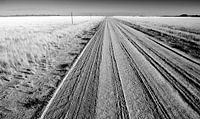 Zwartwit foto Landschap Namibië, Afrika