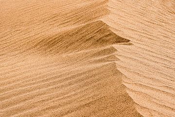 Licht und Schatten einer Düne in der Wüste | Iran