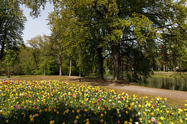 Parc Wilhelmina à Breda sur I Love Breda