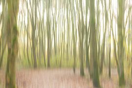 The wind by Ingrid Stoffels