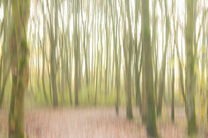 The wind by Ingrid Stoffels