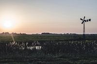 Sonnenuntergang auf dem Feld