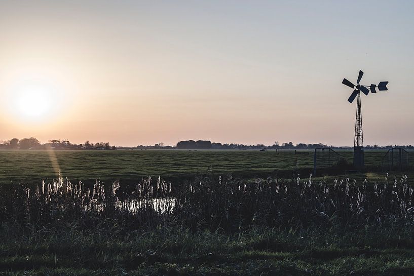 Sunset in the field by thomaswphotography