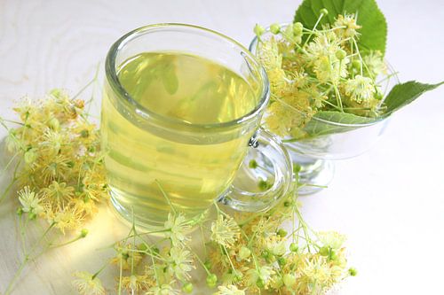 Thé à la fleur de tilleul