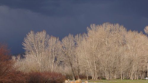 Storm
