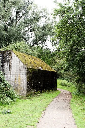 Das Naturhaus von Anouk Martens