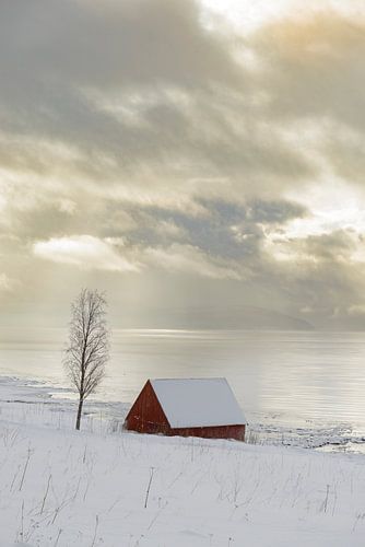 Noors schuurtje aan de oever van een Fjord in Noord-Noorwegen