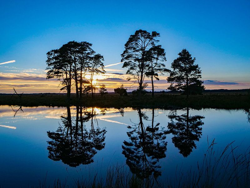Abendsilhouette von snippefotografie