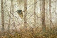 Series Combination Nature-Silver Heron by Karin de Jonge thumbnail