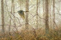 Serie Combinatuur-Zilverreiger