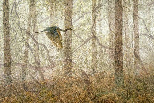 Series Combination Nature-Silver Heron by Karin de Jonge