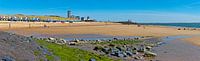 Panoramastrand und Strandhütten Vlissingen von Anton de Zeeuw Miniaturansicht