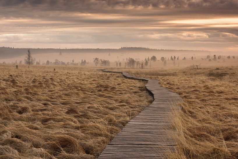 The narrow path - beautiful Ardennes by Rolf Schnepp