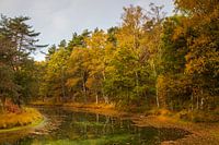 Herfst op Heidestein